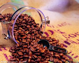 顶级古巴咖啡的代名词水晶山咖啡品种市场价格简介
