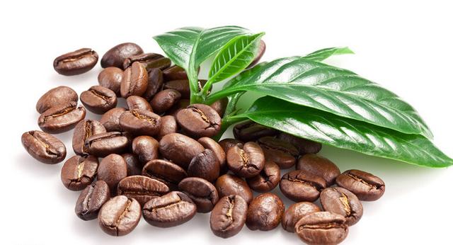 速溶咖啡、咖啡豆、咖啡粉 三者怎么选适合自己的？